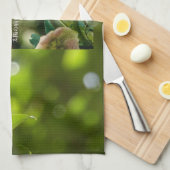 Earth Day Gift 🌸Breath of Spring |Kitchen Towel キッチンタオル (四つ折り)