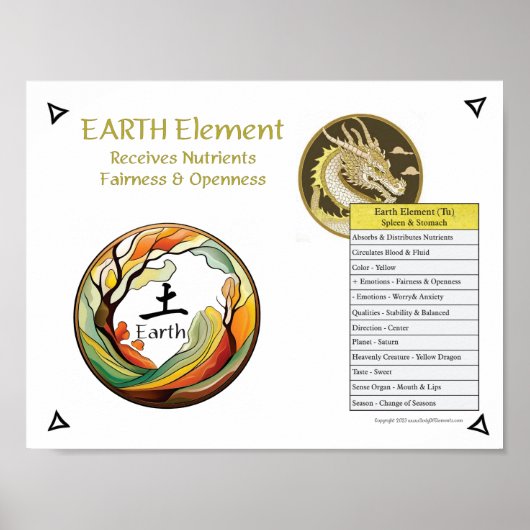 Earth Element Acupuncture ポスター (正面)