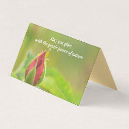 Earth’s Glow and Healing Japanese Flowers/EarthDay