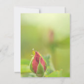 Earth’s Glow and Healing Japanese Flowers/EarthDay (正面)