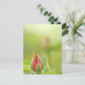 Earth’s Glow and Healing Japanese Flowers/EarthDay (スタンド正面)