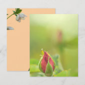 Earth’s Glow and Healing Japanese Flowers/EarthDay (正面/裏面)