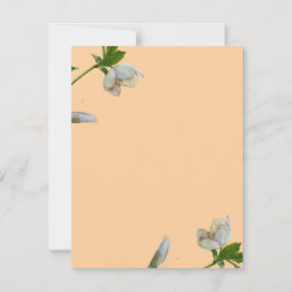 Earth’s Glow and Healing Japanese Flowers/EarthDay