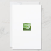 Earth’s Glow and Healing Japanese Flowers/EarthDay (裏面)