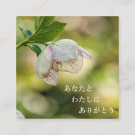 Earth’s Glow and Healing Japanese Flowers/EarthDay エンクロージャーカード
