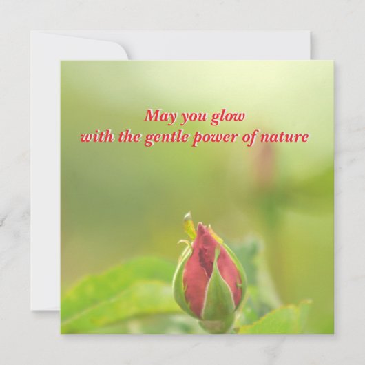 Earth’s Glow and Healing Japanese Flowers/EarthDay シーズンカード (正面)