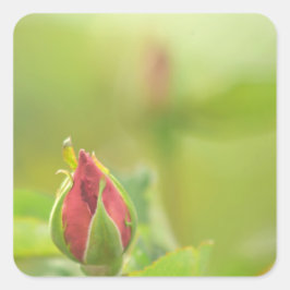 Earth’s Glow and Healing Japanese Flowers/EarthDay スクエアシール