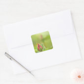 Earth’s Glow and Healing Japanese Flowers/EarthDay スクエアシール (封筒)