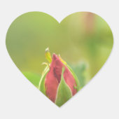 Earth’s Glow and Healing Japanese Flowers/EarthDay ハートシール (正面)