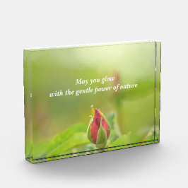 Earth’s Glow and Healing Japanese Flowers/EarthDay フォトブロック