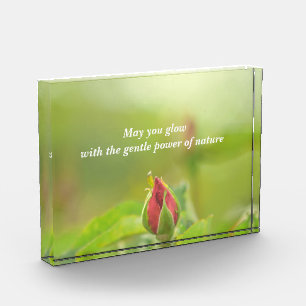 Earth’s Glow and Healing Japanese Flowers/EarthDay フォトブロック
