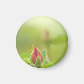 Earth’s Glow and Healing Japanese Flowers/EarthDay マグネット (正面)