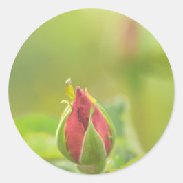 Earth’s Glow and Healing Japanese Flowers/EarthDay ラウンドシール