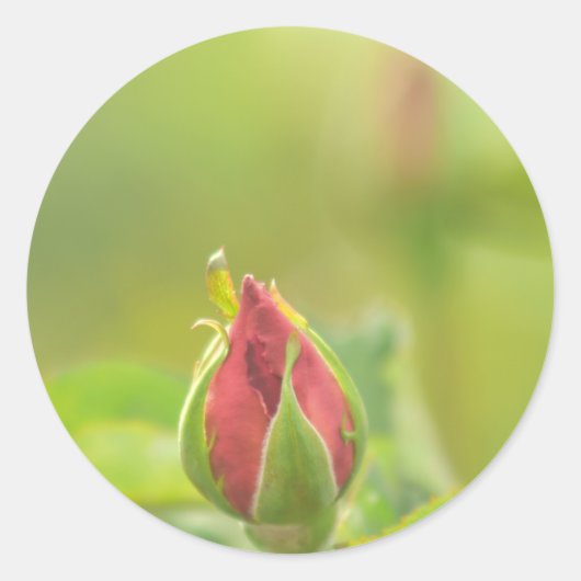 Earth’s Glow and Healing Japanese Flowers/EarthDay ラウンドシール (正面)