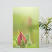 Earth’s Glow and Healing Japanese Flowers/EarthDay 便箋 (スタンド正面)