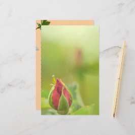 Earth’s Glow and Healing Japanese Flowers/EarthDay 便箋