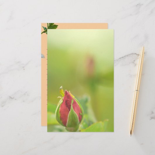 Earth’s Glow and Healing Japanese Flowers/EarthDay 便箋 (正面/裏面インサイチュ)