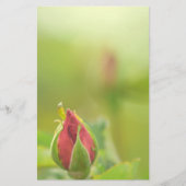 Earth’s Glow and Healing Japanese Flowers/EarthDay 便箋 (正面)