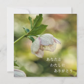 Earth’s Glow and Healing Japanese Flowers/EarthDay 招待状 (裏面)