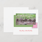 Earth’s Glow and Healing Japanese Flowers/EarthDay 招待状 (正面/裏面)