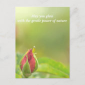 Earth’s Glow and Healing Japanese Flowers/EarthDay 案内ポストカード (正面)