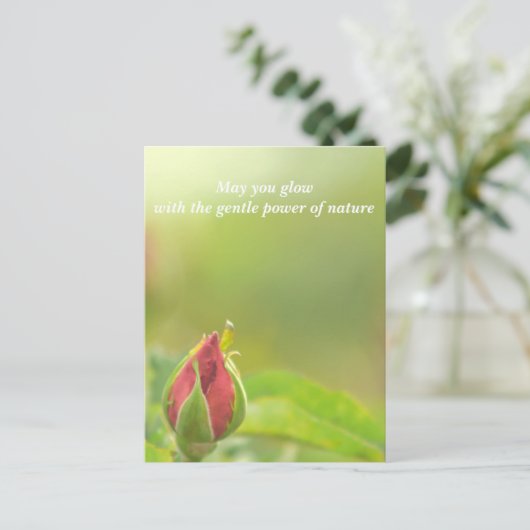 Earth’s Glow and Healing Japanese Flowers/EarthDay 案内ポストカード (スタンド正面)
