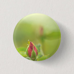 Earth’s Glow and Healing Japanese Flowers/EarthDay 缶バッジ