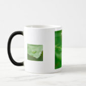 Earthlight and Healing Japanese Flowers and Poetry モーフィングマグカップ (左)