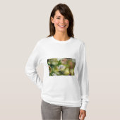 Earthlight and Healing Japanese Flowers and Poetry Tシャツ (正面フル)