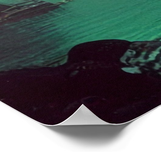 Earthrise Serenade - (42x24in Extra Long) ポスター (角)