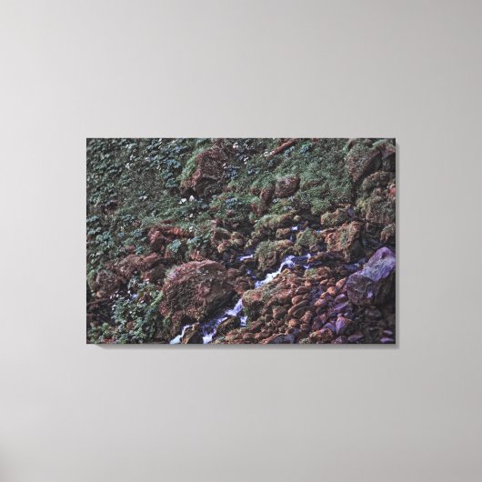 EarthTone キャンバスプリント (正面)