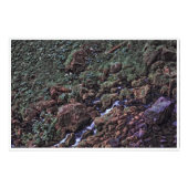 EarthTone フォトプリント (正面)