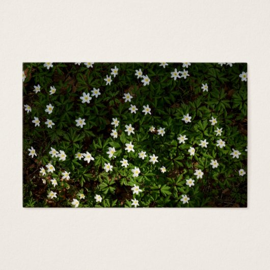 Earthy green shop thank you card with discount (正面)