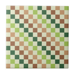 Earthy rainbow diagonal checkerboard pattern タイル