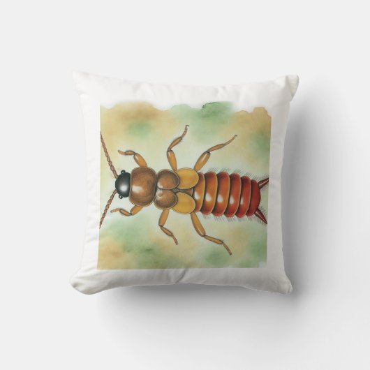 Earwig Dermaptera 110924IREF215 - Watercolor クッション (正面)