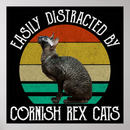 Easily Distracted By Cornish Rex Cats ポスター (正面)