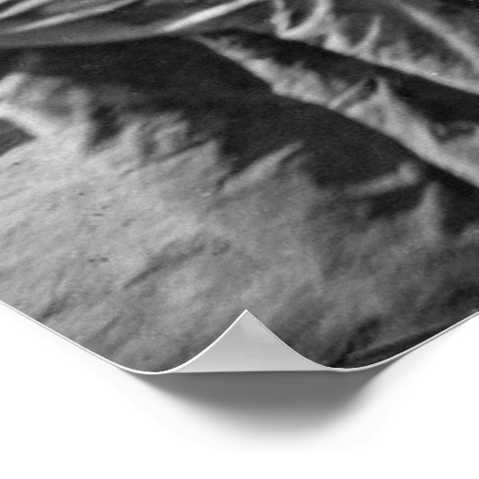 EastとWestが最後のレールを敷設する際に握手 ポスター (角)