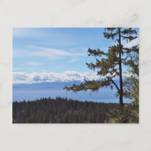 East Sooke, BC, Canadaの木々の向こうを見る ポストカード