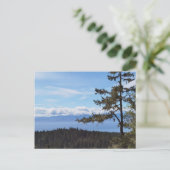 East Sooke, BC, Canadaの木々の向こうを見る ポストカード (スタンド正面)