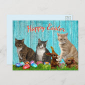 Easter Card - Cats and Bunnies シーズンポストカード (正面/裏面)
