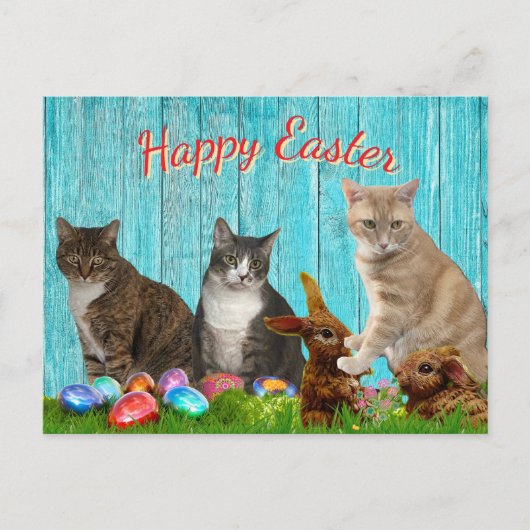 Easter Card - Cats and Bunnies シーズンポストカード (正面)