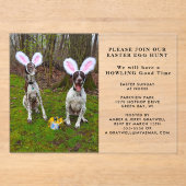 Easter Egg Hunt and Party Dogs Easter アクリル招待状 (正面)