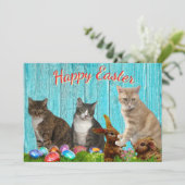 Easter Flat Card - Cats and Bunnies シーズンカード (スタンド正面)