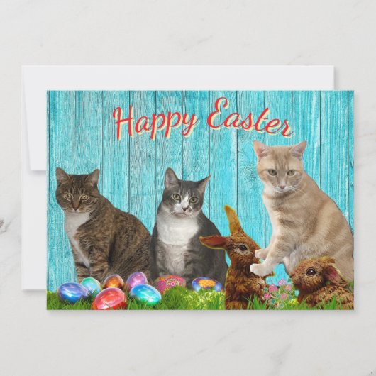 Easter Flat Card - Cats and Bunnies シーズンカード (正面)