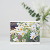 Easter lily [Postcard] ポストカード (スタンド正面)