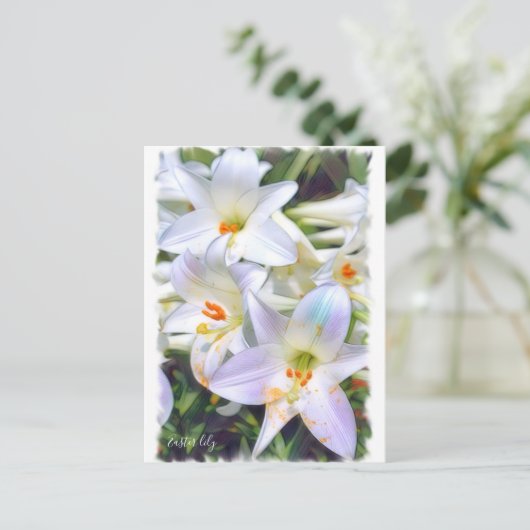 Easter lily [Postcard] ポストカード (スタンド正面)