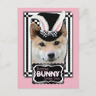 Easter - Some Bunny Loves You - Shiba Inu シーズンポストカード