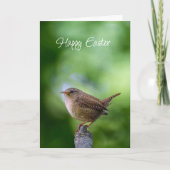 Easter Spring Wren Bird Joy Happiness Wishes シーズンカード (正面)
