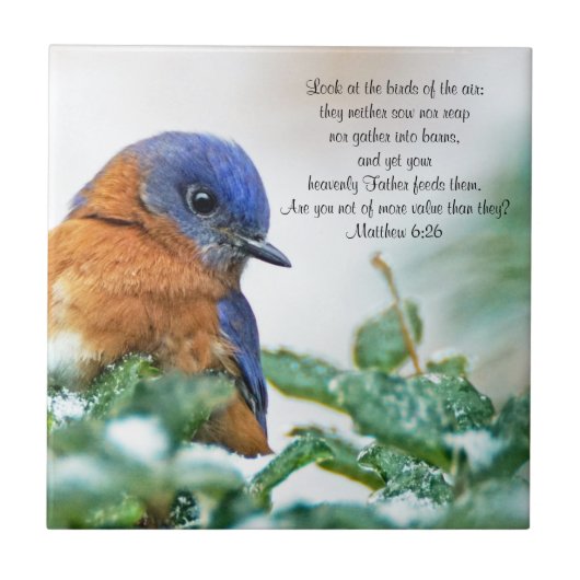 Eastern BluebirdセラミックフォトタイルMatthew 6:26 タイル (正面)