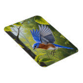 Eastern Bluebird マグネット (右側)